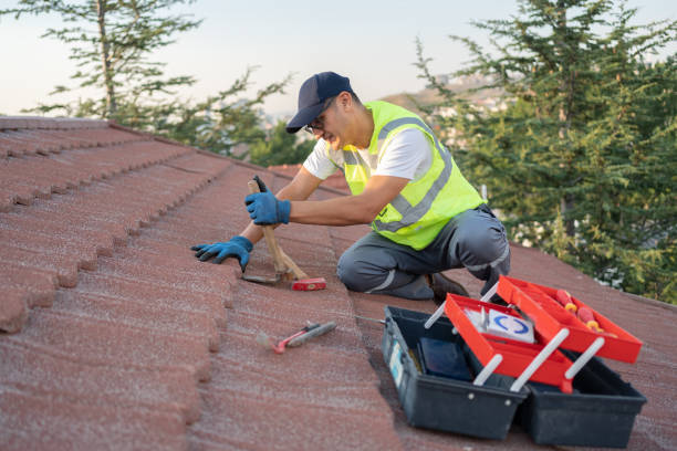 Best Roof Replacement Cost  in Princeton, KY